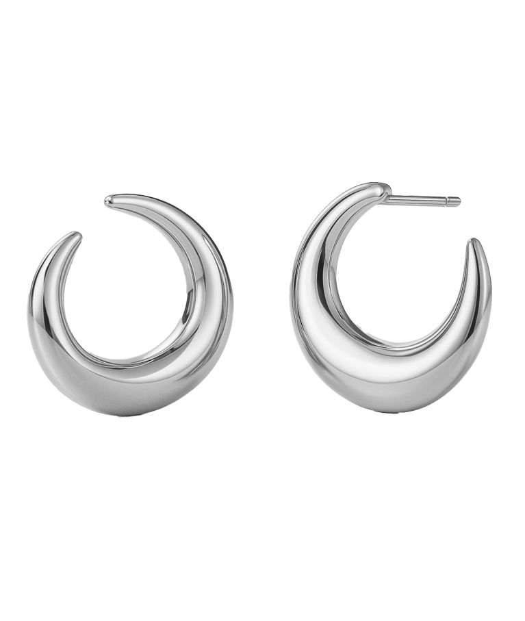 Stålörhängen Wishbone Hoops Steel AU26