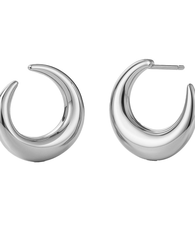 Stålörhängen Wishbone Hoops Steel AU26