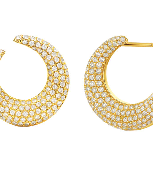 Stålörhängen Wishbone Hoops Sparkle Gold AU26 gold