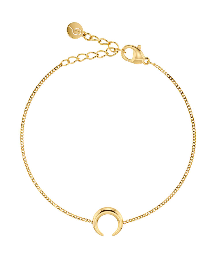 Stålarmband Wishbone Bracelet Gold AU26 gold