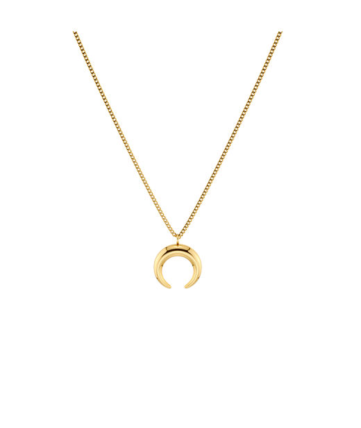 Stålhalsband Wishbone Necklace S Gold AU26 gold
