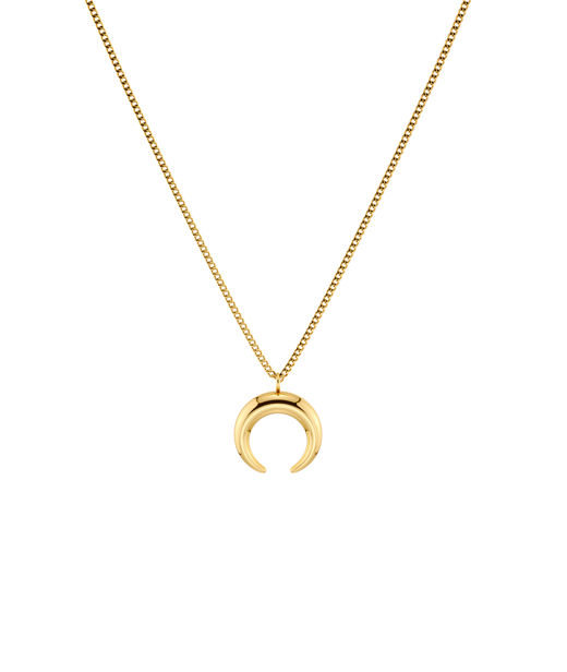Stålhalsband Wishbone Necklace S Gold AU26 gold