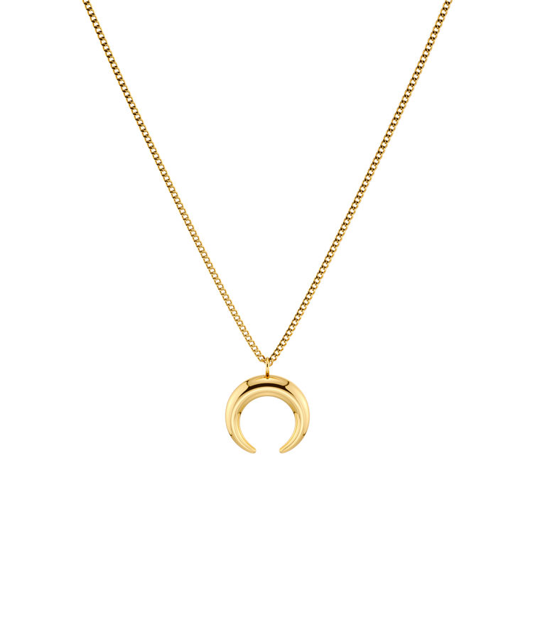 Stålhalsband Wishbone Necklace S Gold AU26 gold