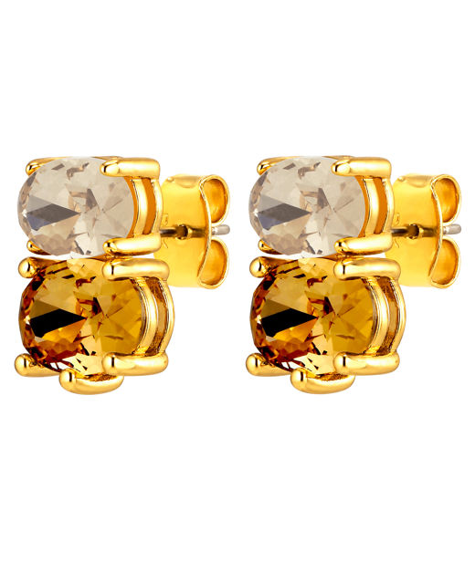 Mässingsörhängen NERIDA SG GOLDEN AW26