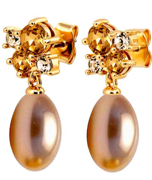 Mässingsörhängen PETUN SG GOLDEN AW26