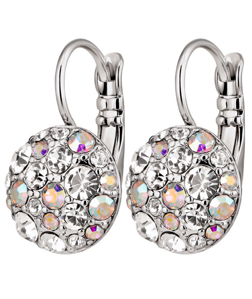 Mässingsörhängen BLOST SS CRYSTAL AB AW26