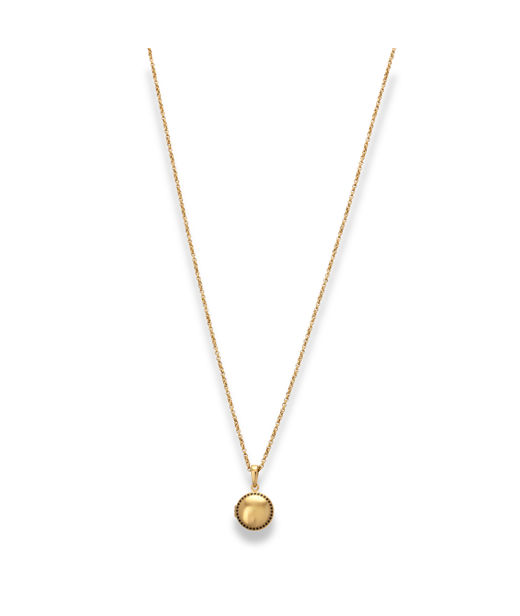 Stålhalsband Epione Black CZ locket gold