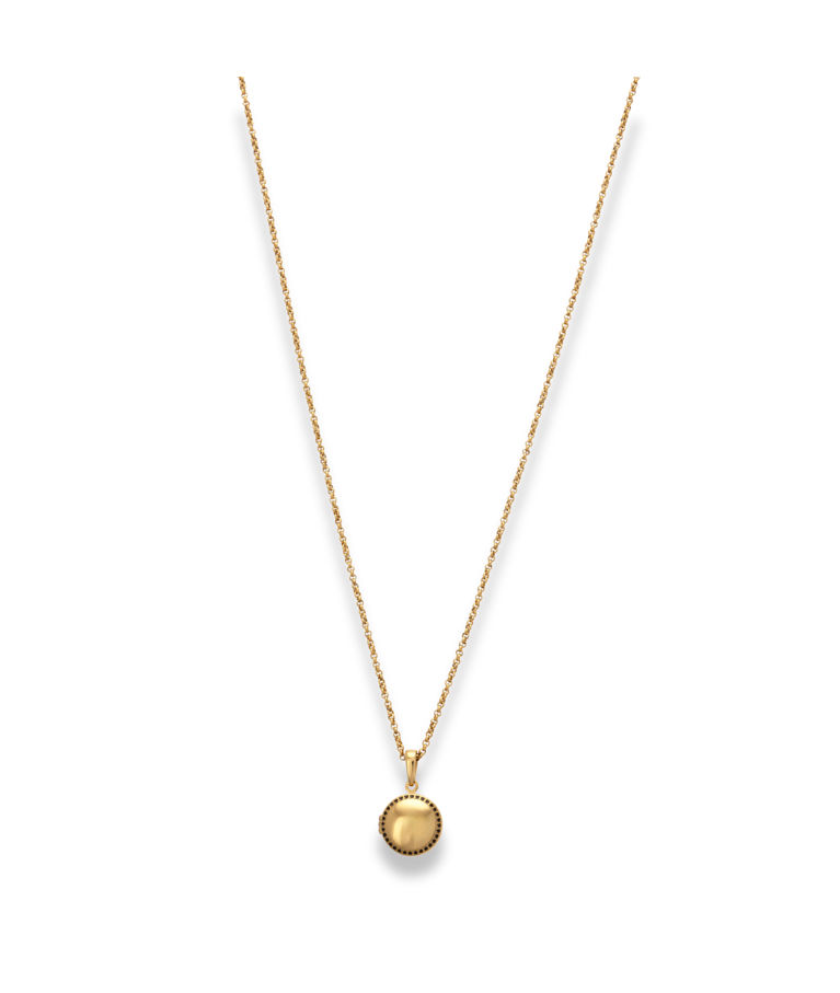 Stålhalsband Epione Black CZ locket gold