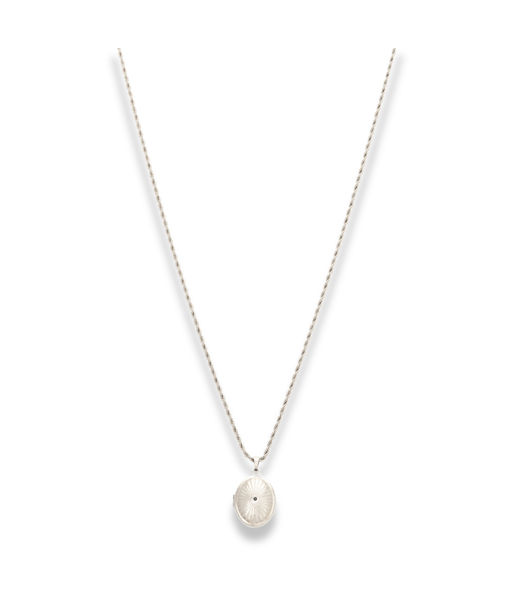 Stålhalsband Epione Solitaire Locket