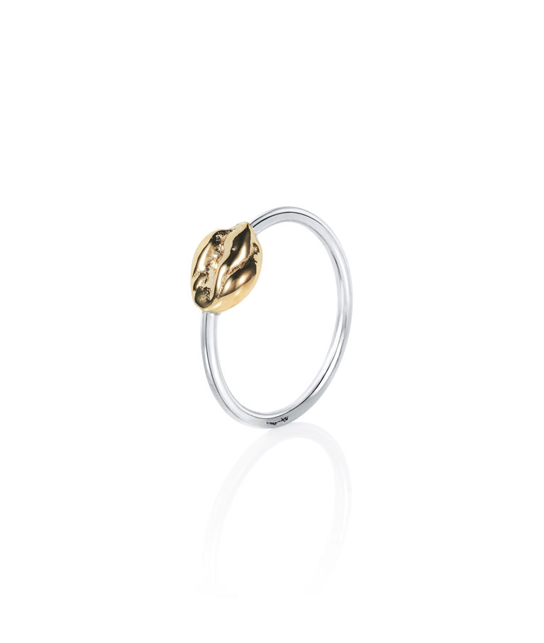 Silverring Nugget fg