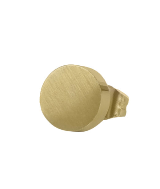 Stålörhänge Walter studs gold