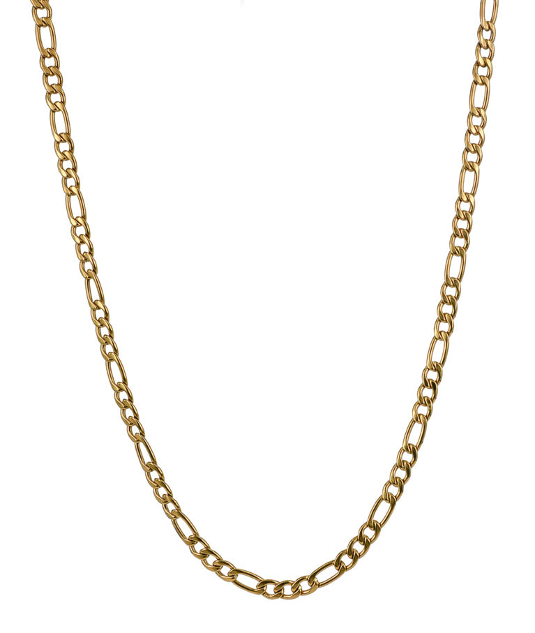 Stålhalsband Scott Medium gold