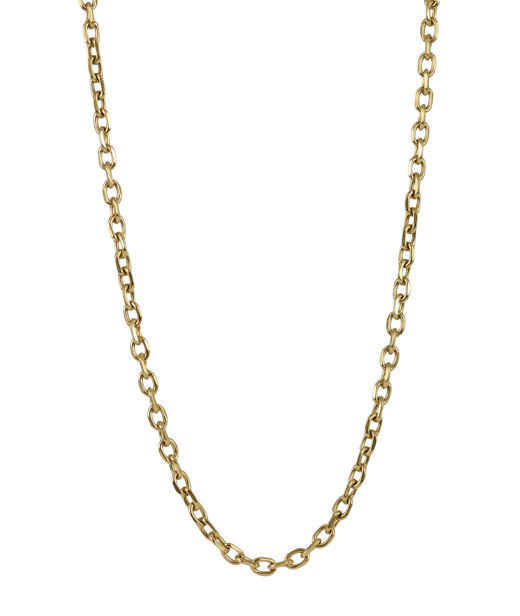 Stålhalsband Charlie Chain gold