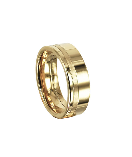 Stålring Moltas Plain L gold