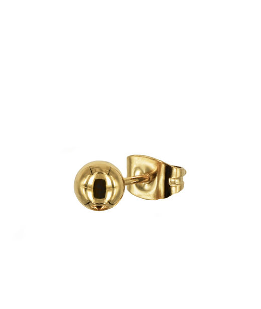 Stålörhänge Zebb gold