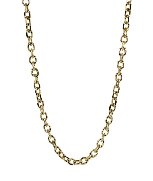 Stålhalsband Charlie Gold 7mm