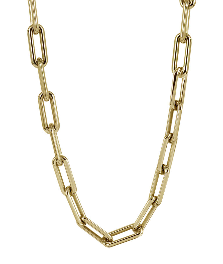 Stålhalsband Jason Gold