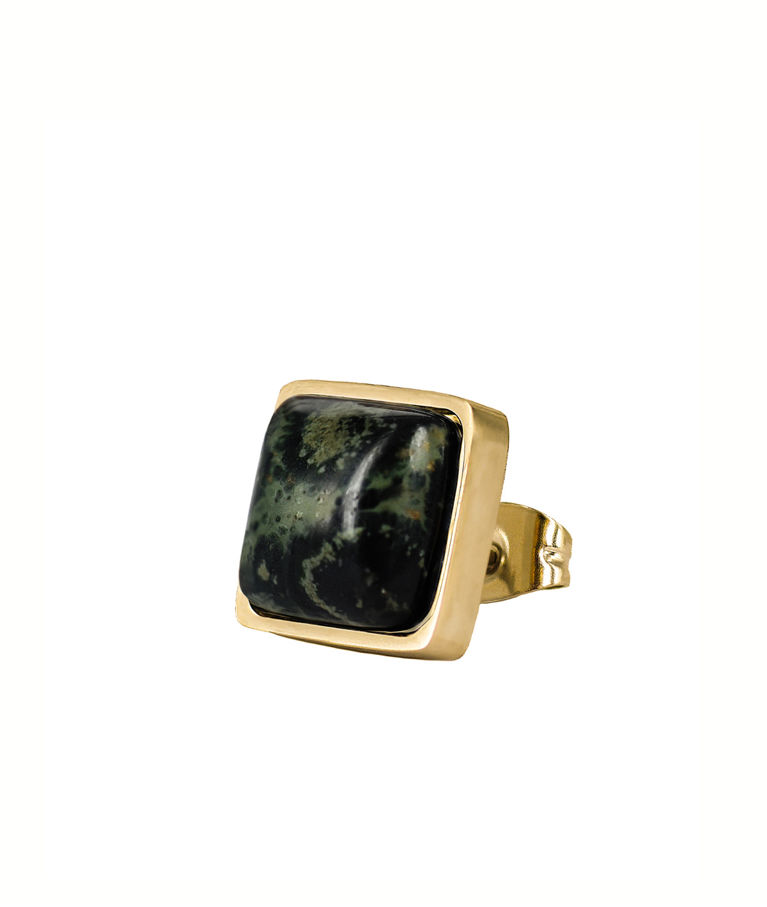 Stålörhänge Neo gold/ green