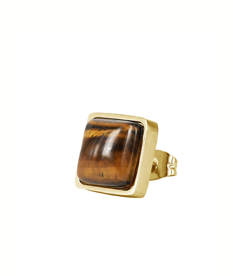 Stålörhänge Neo gold/ brown