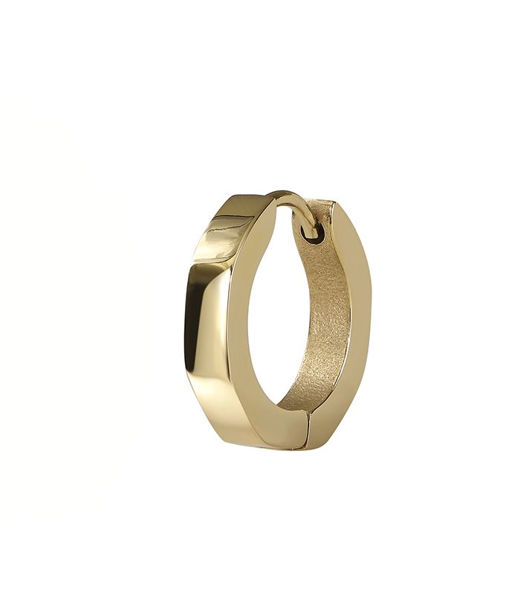 Stålörhänge Ben gold