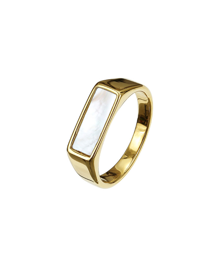 Stålring Cloe Gold/Shell L