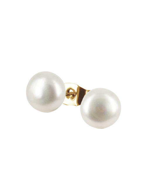 Stålörhänge Palma Stud Medium gold