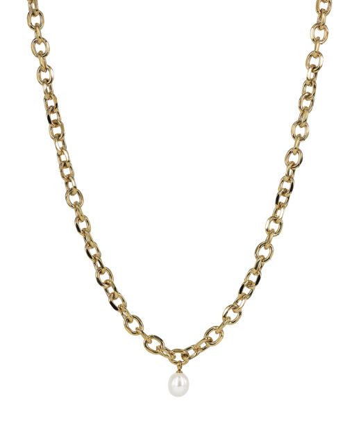 Stålhalsband Palma Big gold