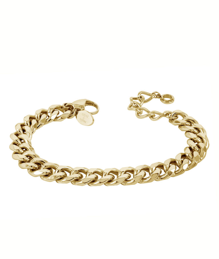 Stålarmband Alexa 9mm gold