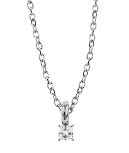 Stålhalsband Sierra