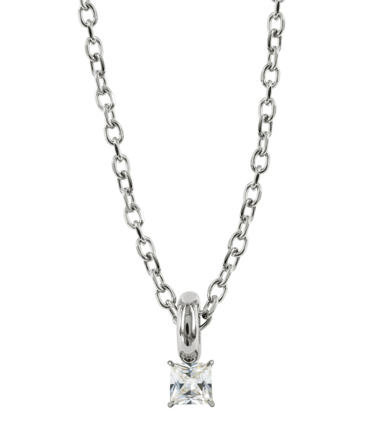 Stålhalsband Sierra