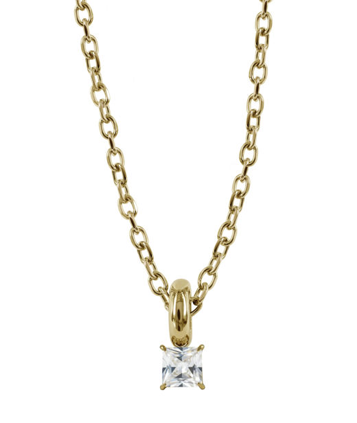 Stålhalsband Sierra Gold