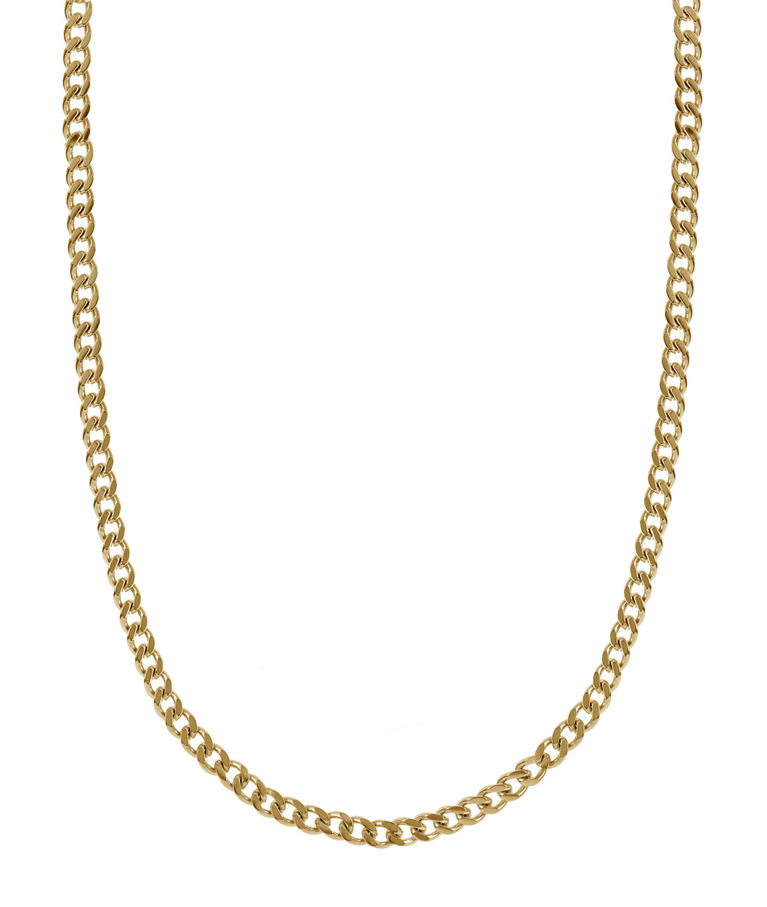 Stålhalsband Leo Gold