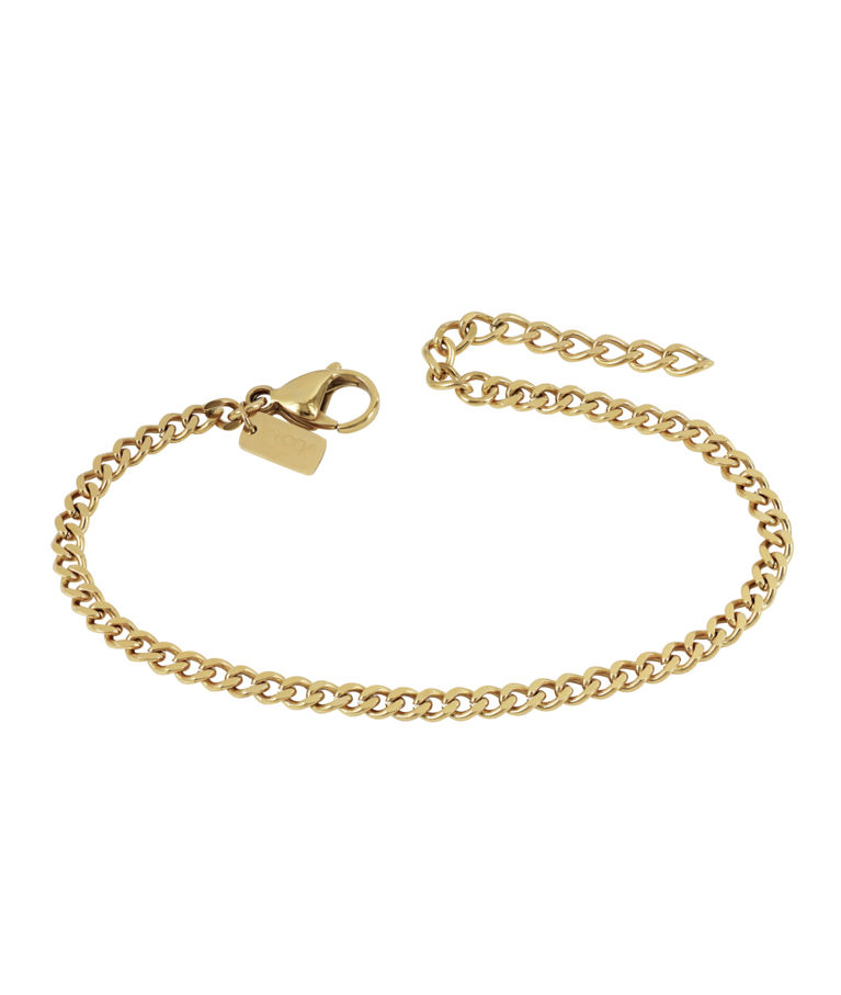 Stålarmband Leo Gold