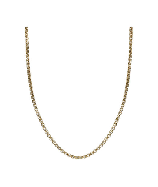 Stålhalsband Will Gold