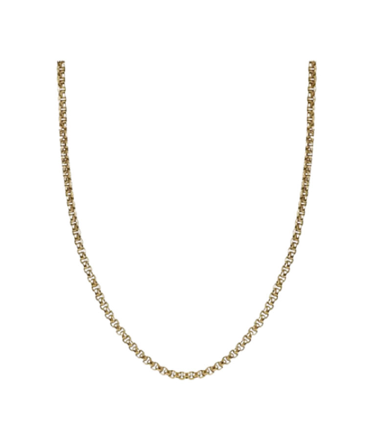 Stålhalsband Will Gold