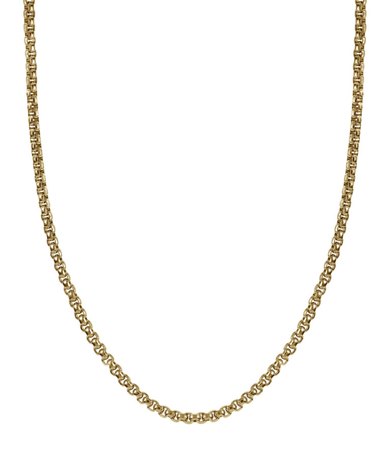 Stålhalsband Will Gold