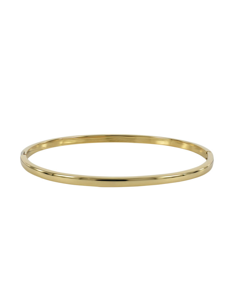 Stålarmband Carter Bangle Gold