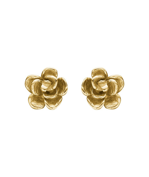 14k gg örhänge Aphrodite Rose 6mm
