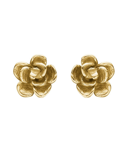 14k gg örhänge Aphrodite Rose 6mm