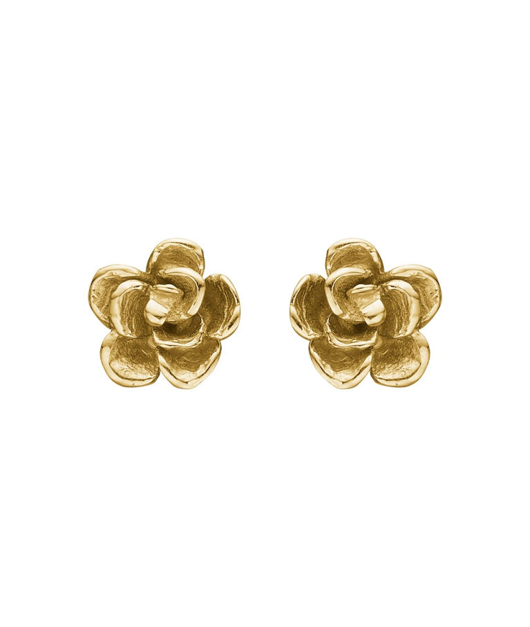 14k gg örhänge Aphrodite Rose 6mm