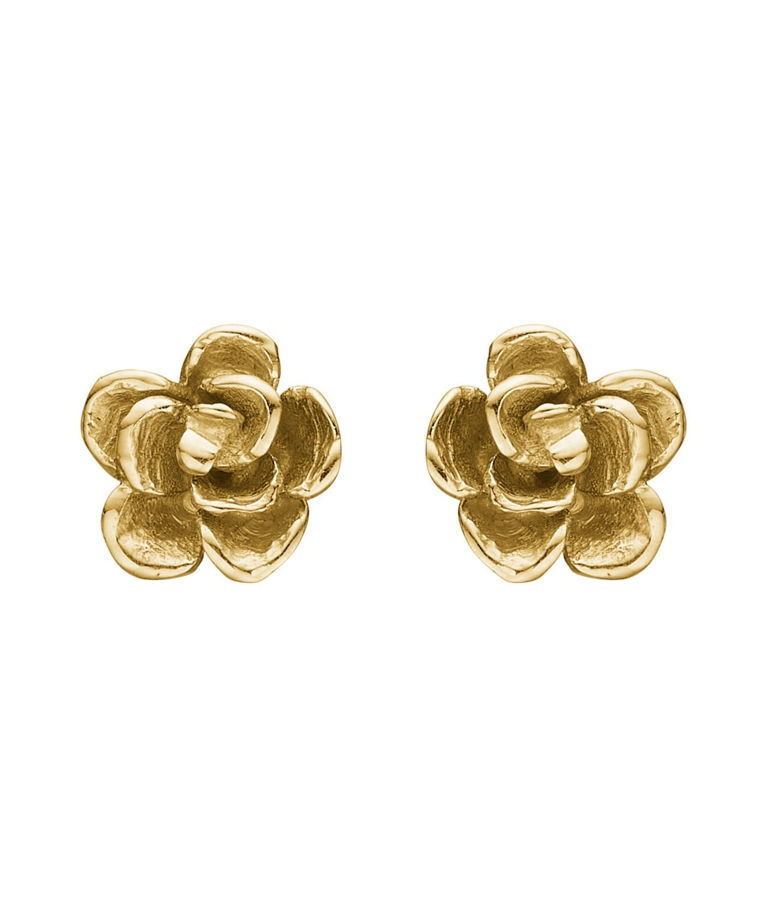 14k gg örhänge Aphrodite Rose 6mm