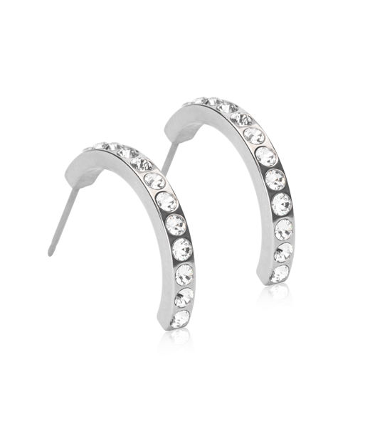 Titanörhängen Pendant Brilliance Curved 20mm Chrystal
