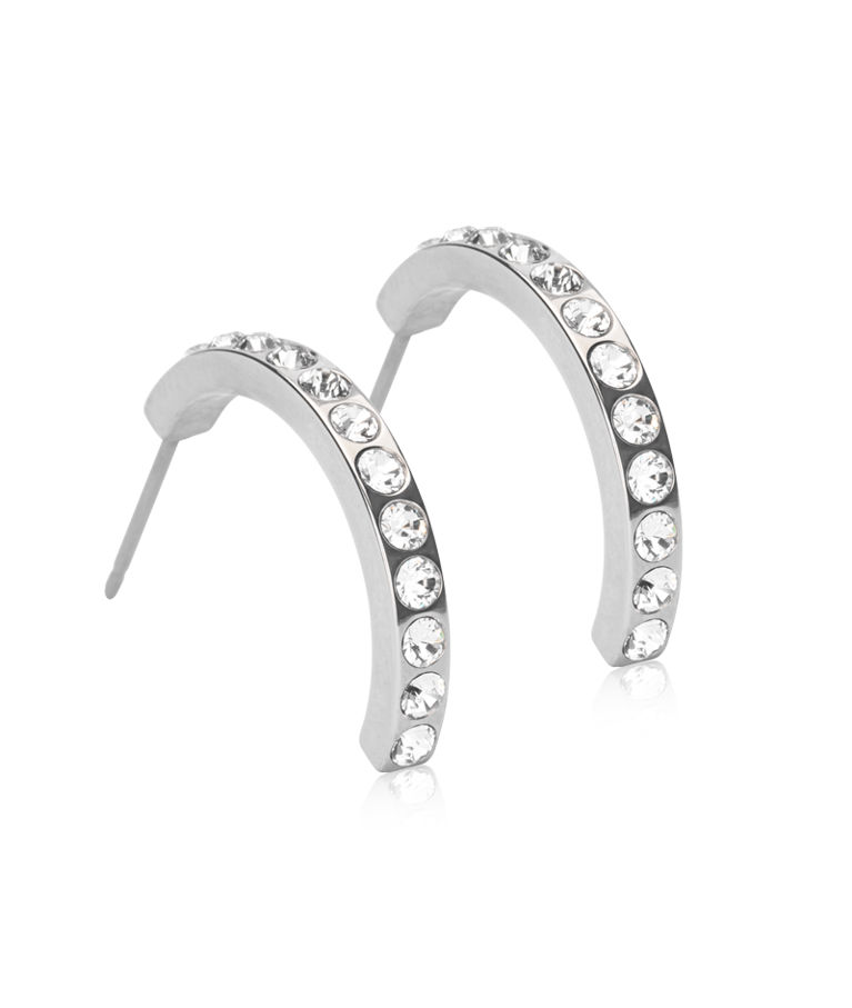 Titanörhängen Pendant Brilliance Curved 20mm Chrystal