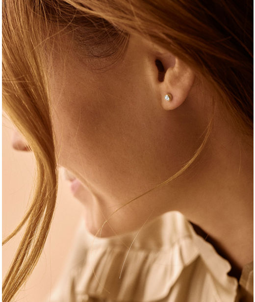 Titanörhängen Bezel 4mm gold