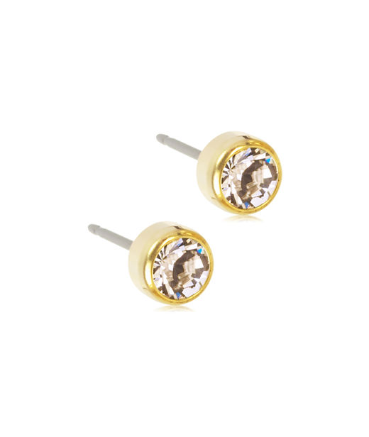 Titanörhängen Bezel 5mm gold