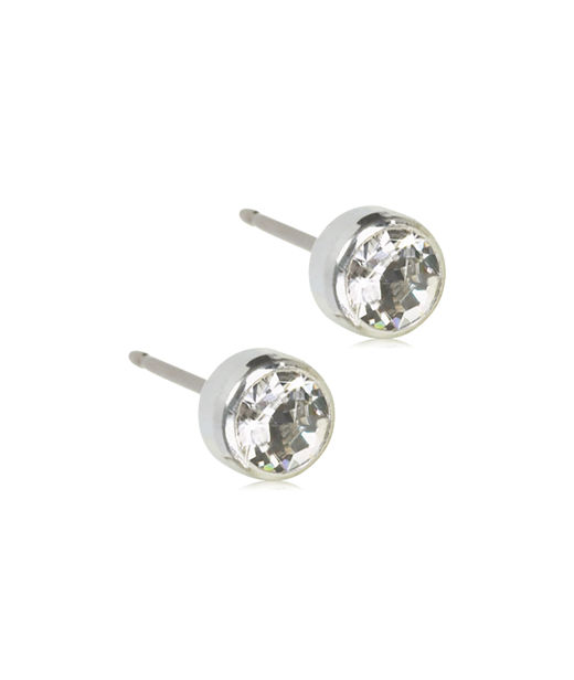Titanörhängen Bezel 5mm silver