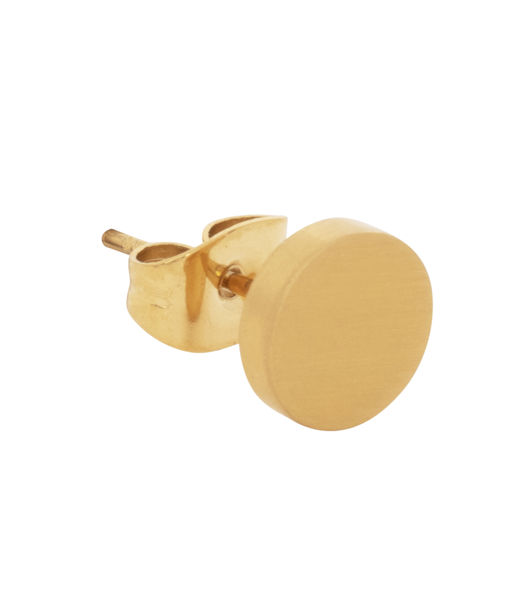 Stålörhänge Dot gold