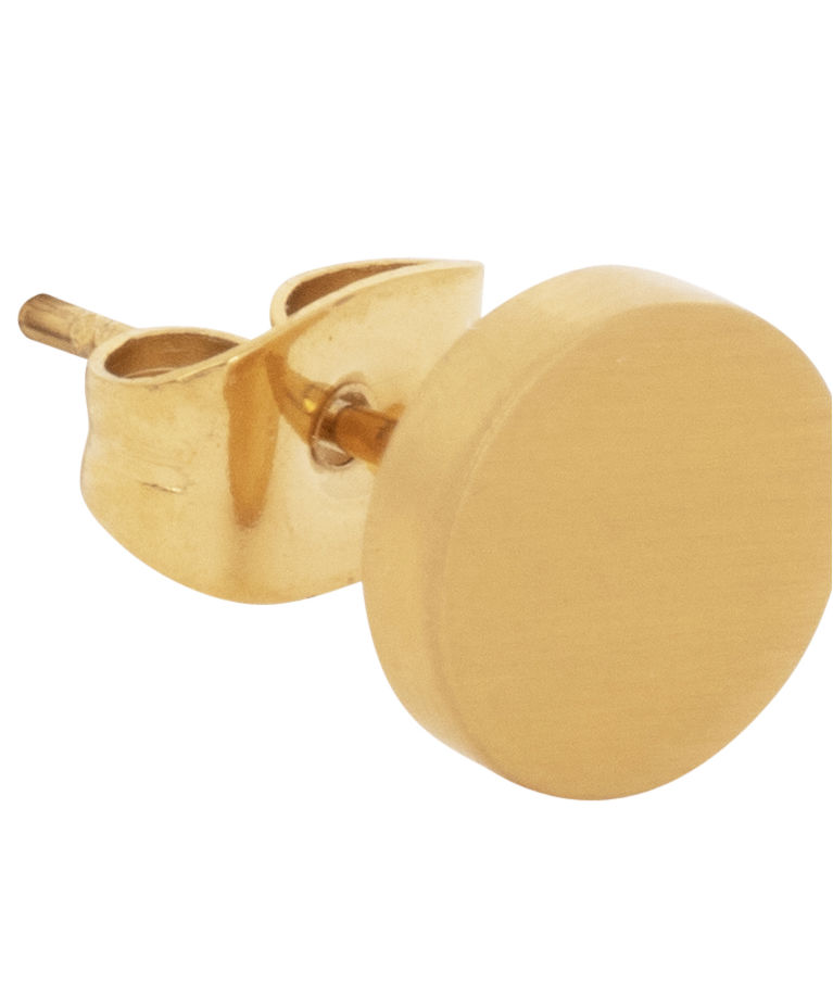 Stålörhänge Dot gold