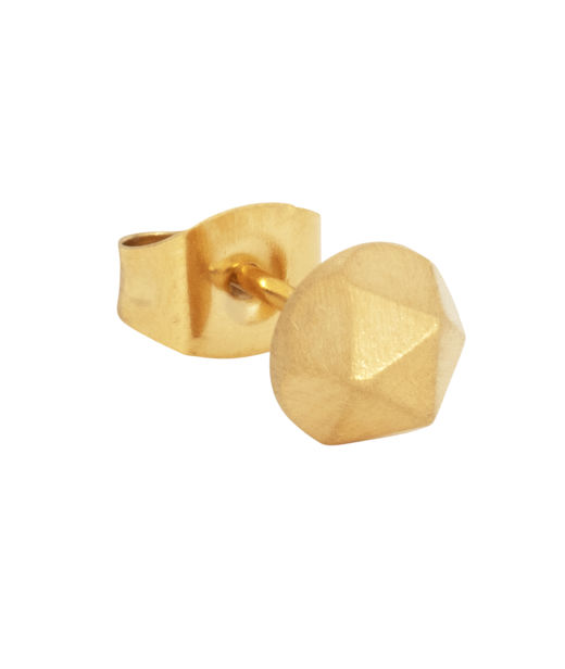 Stålörhänge Dekagon gold