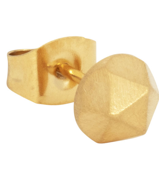 Stålörhänge Dekagon gold